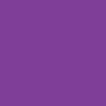 Violet vif 038